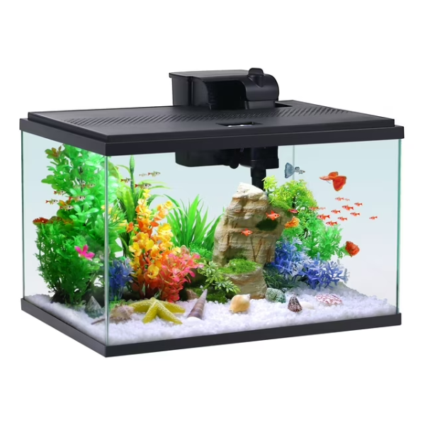 Aqua Culture 10-Gallon Glass Aquarium